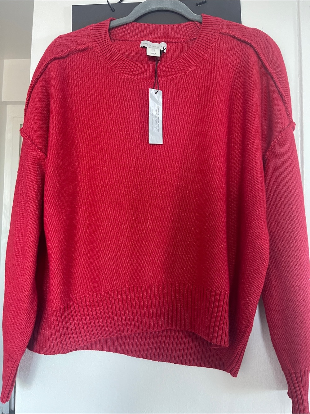 Sincerely Jules Red Crewneck Sweater